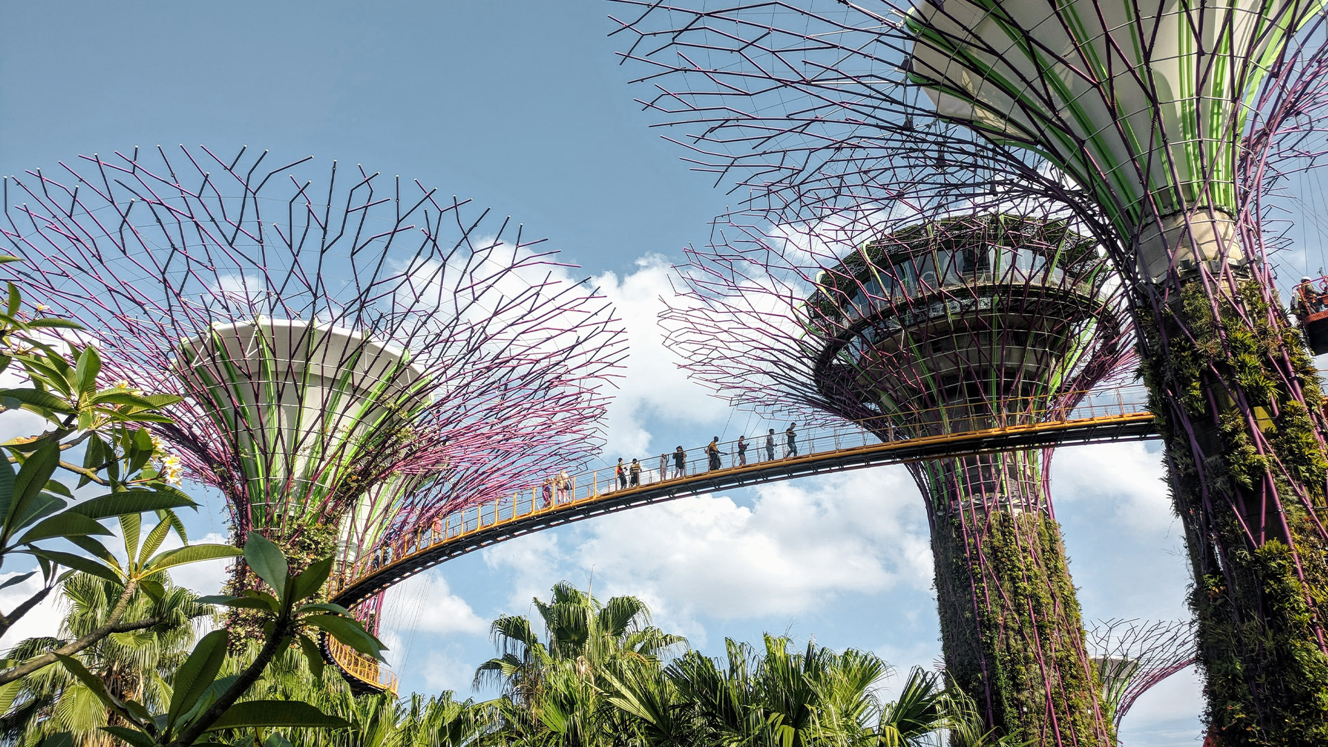 The Gardens by the Bay park area in Singapore.